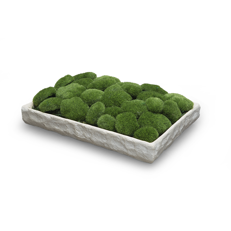 PLATEAU