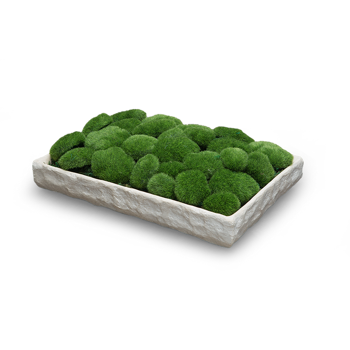 PLATEAU
