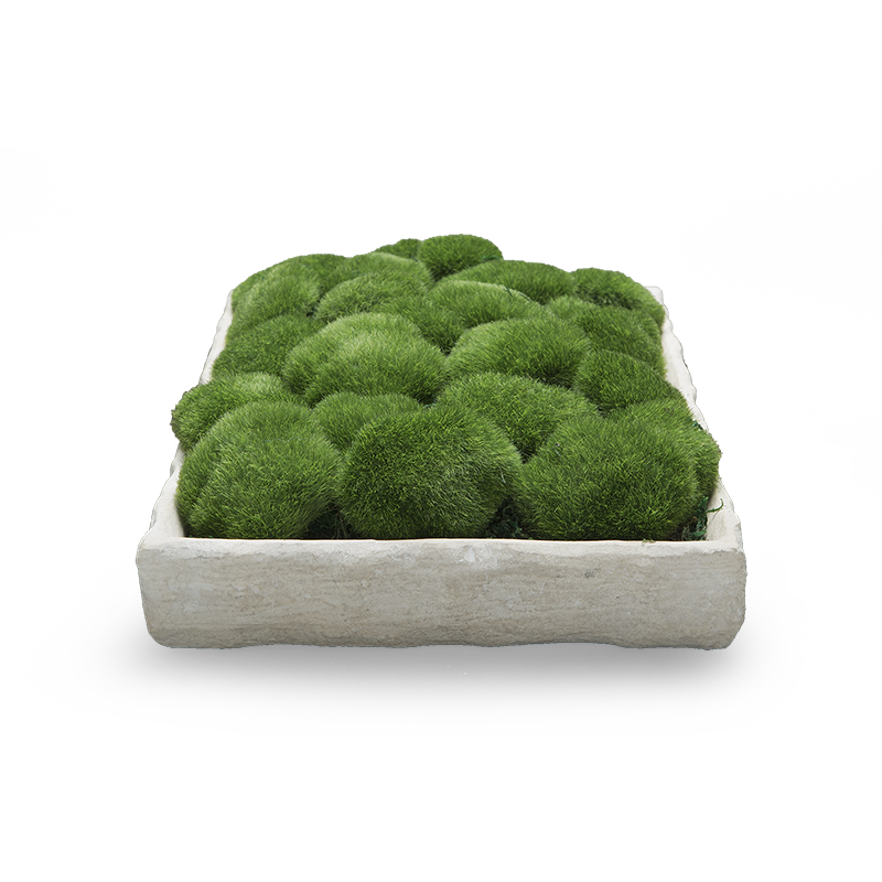PLATEAU