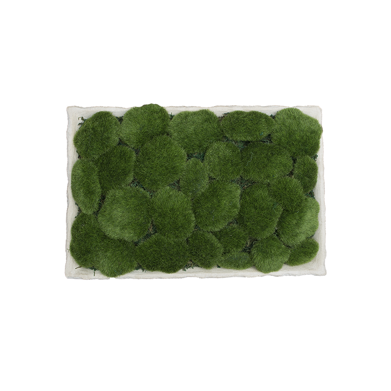 PLATEAU