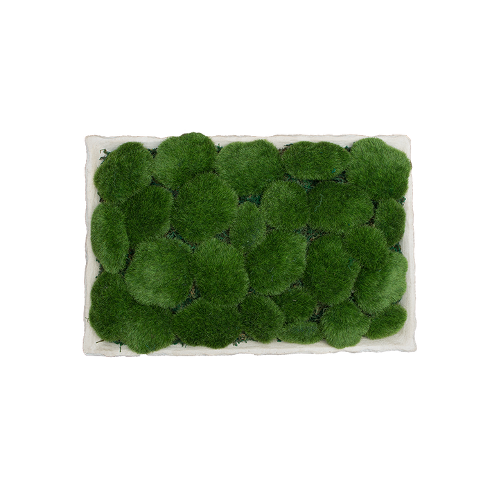 PLATEAU