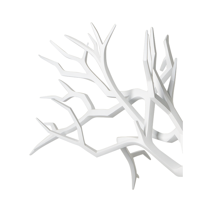 BONSAI TREE
