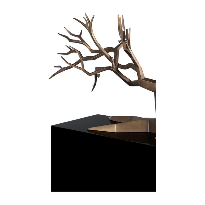 BONSAI