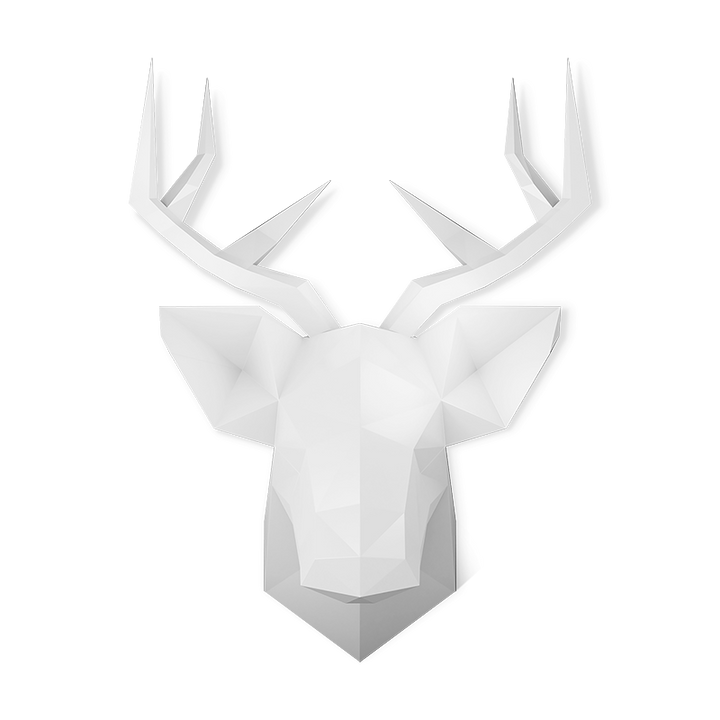 STAG