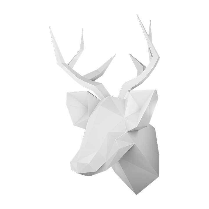STAG