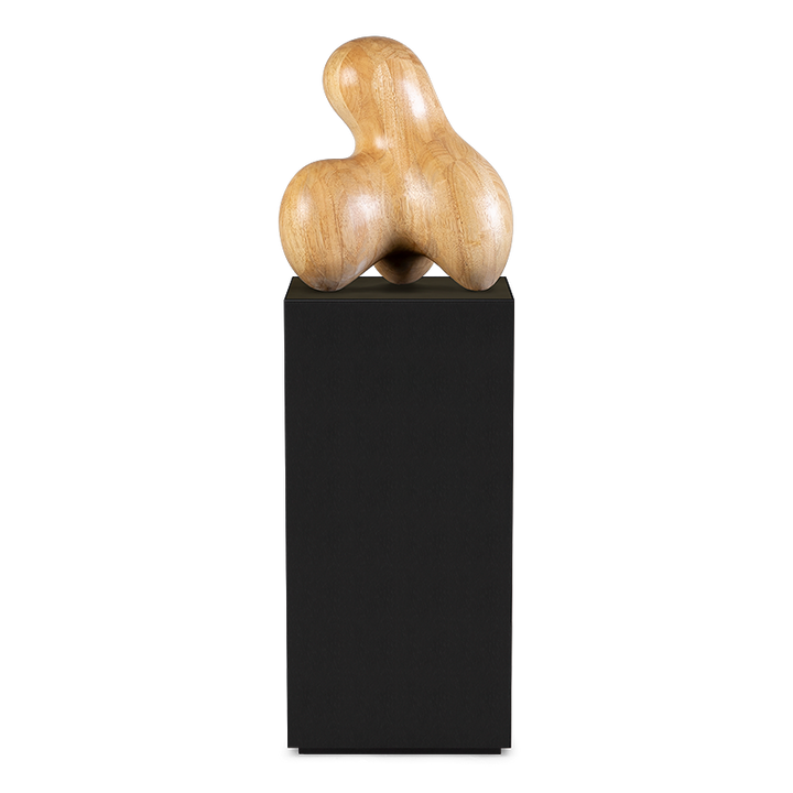 ABSTRACT ON PEDESTAL