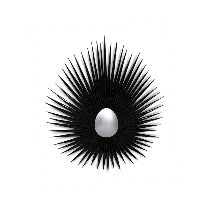 Supernova Mirror