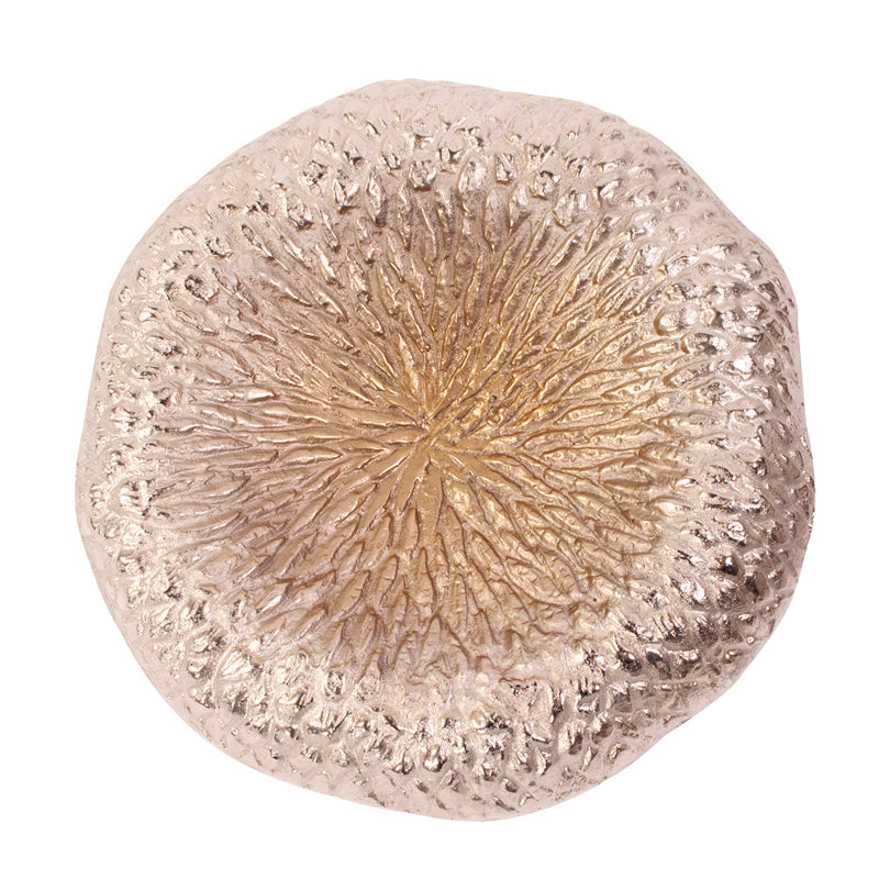 Champagne Aluminum Tray / Wall Decor