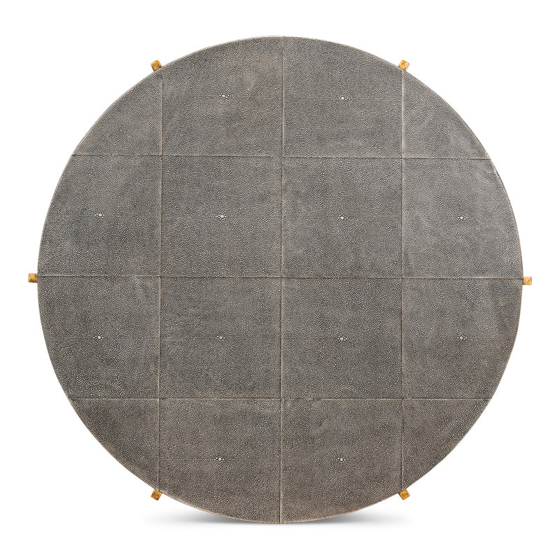 Grey Shagreen Coffee Table
