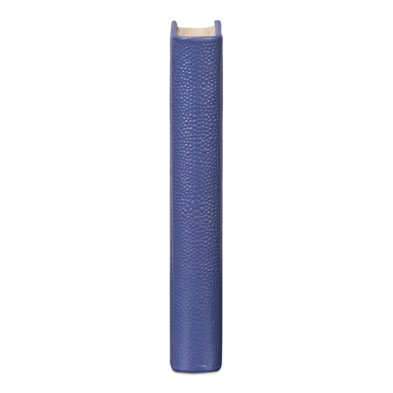 Shagreen Books
