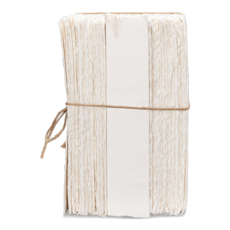 Ledger White
