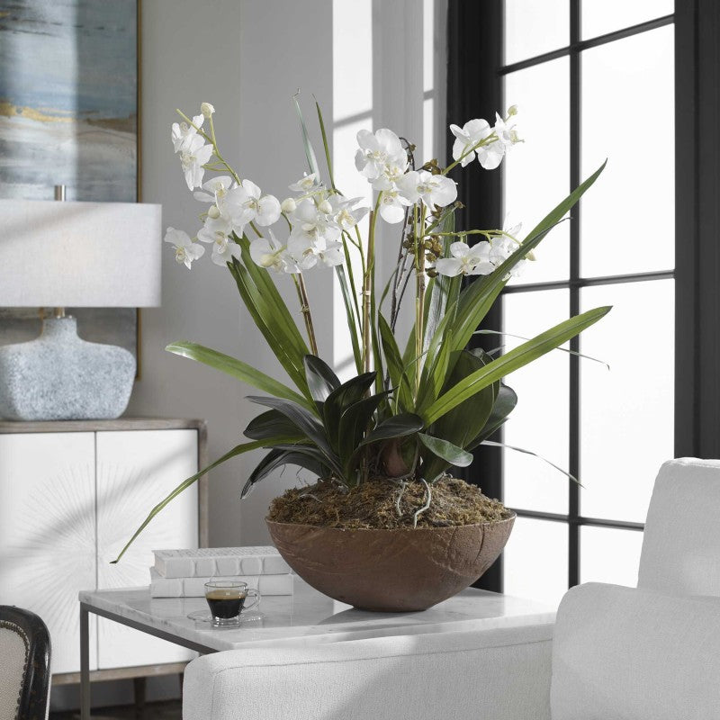 Moth Orchid - Planter - Green
