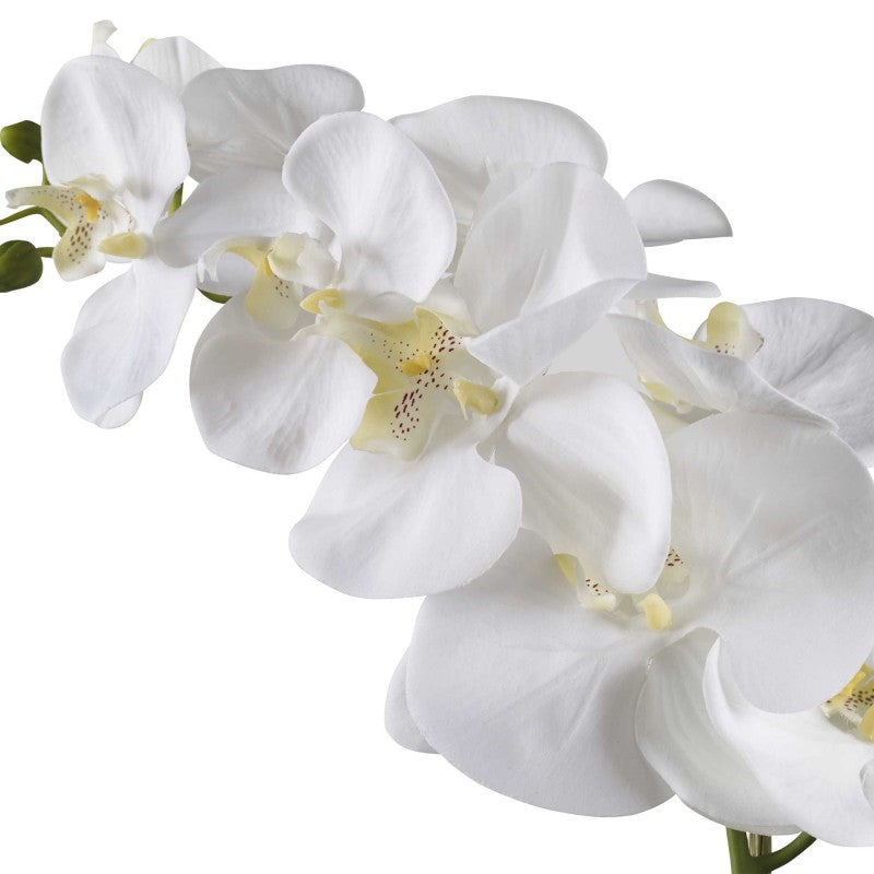 Cami - Orchid - White