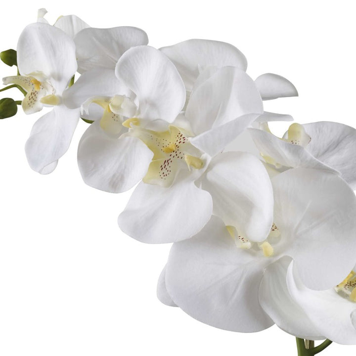 Cami - Orchid - White