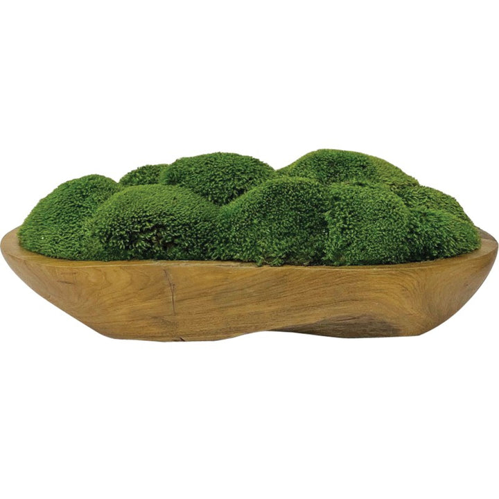 Kinsale - Moss Centerpiece - Light Brown
