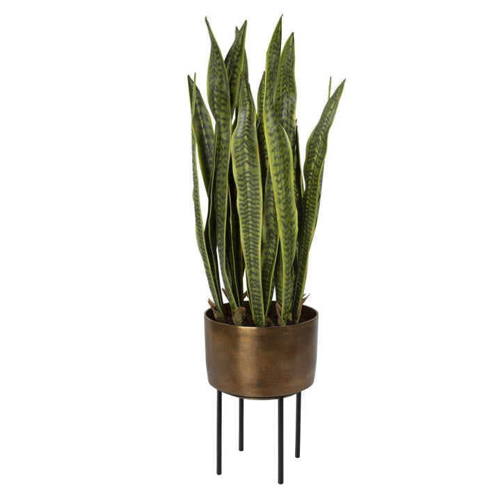 Fasita - Brass Planter (Set of 2) - Green