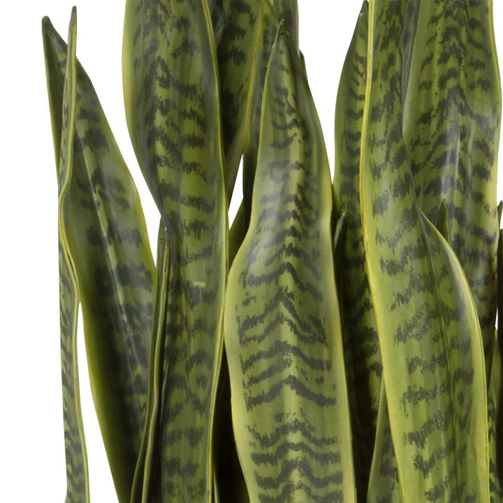 Fasita - Brass Planter (Set of 2) - Green