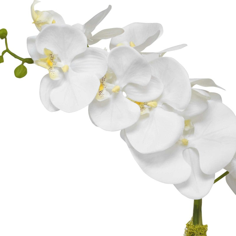 Cami Orchid - Orchid With Brass Pot - White
