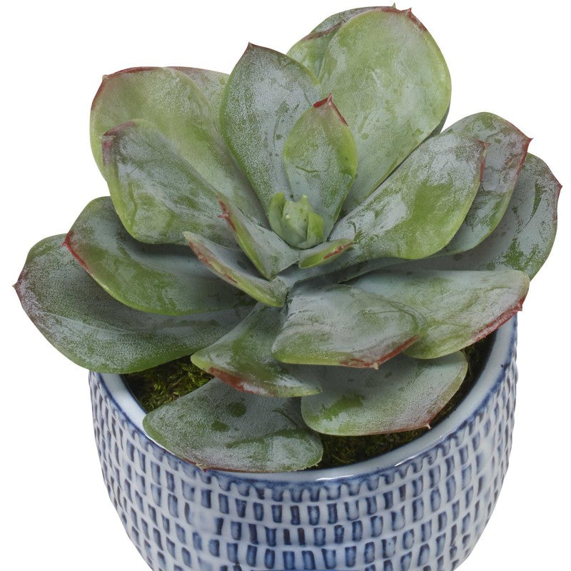 Puebla - Greenery In Blue & White Pots (Set of 3) - Green