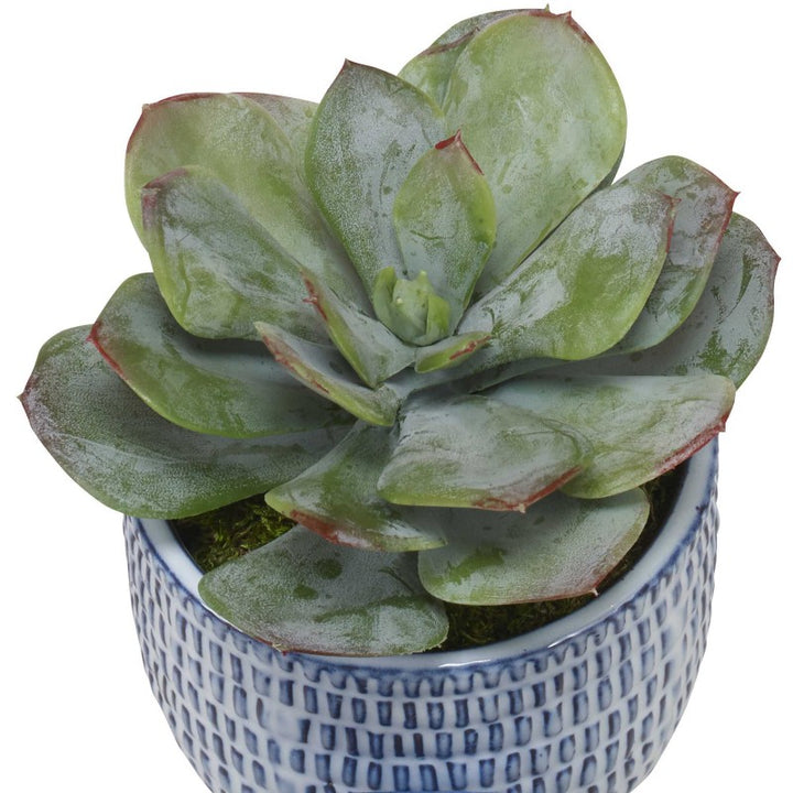 Puebla - Greenery In Blue & White Pots (Set of 3) - Green