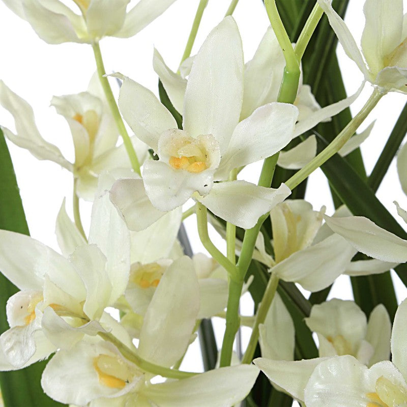 Ariana Orchid - Planter - Gray