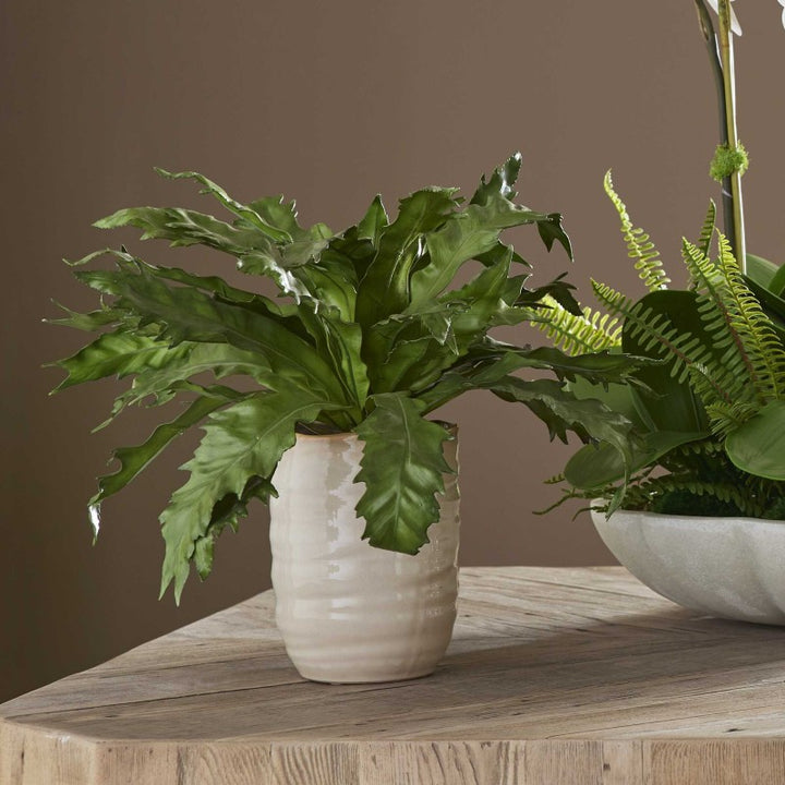 Verdure Fern - In Glazed Pot - White