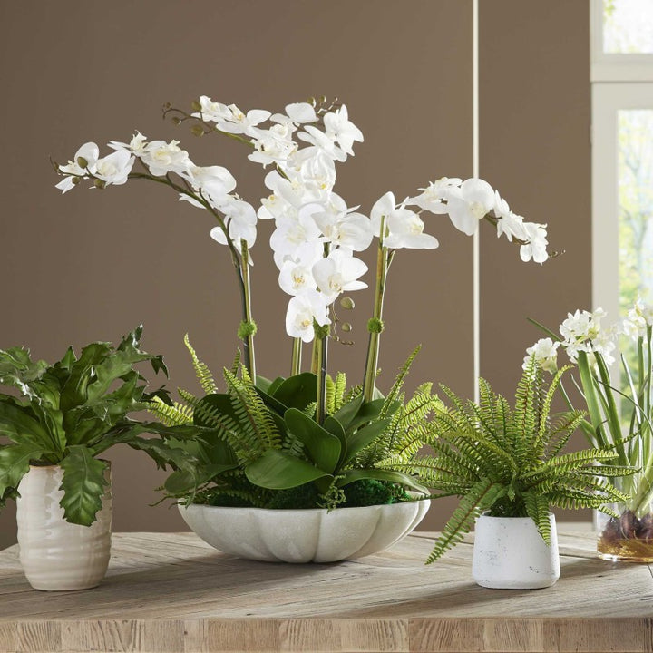 Flourish Orchid - Centerpiece - White
