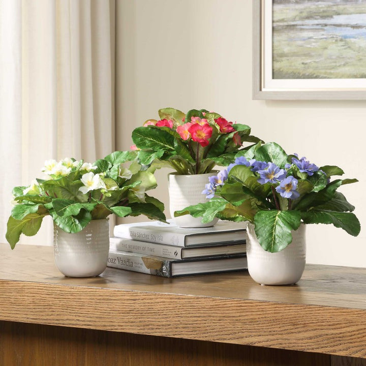 Trilogy Primrose - Accents In Vases (Set of 3) - Green / White