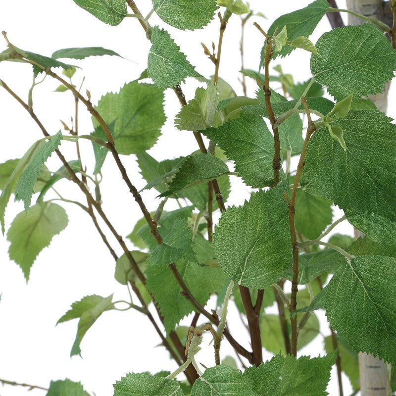 Boreal - Potted Birch Tree - Gray / Green