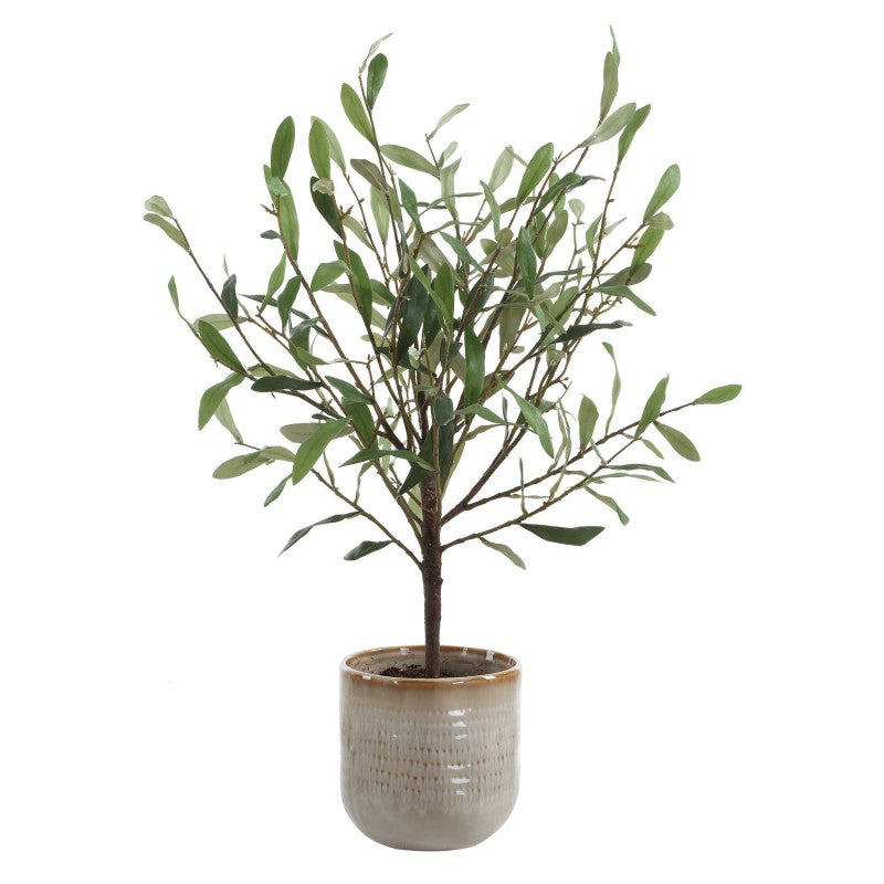Solea Olive - Accent & Textured Vase - Brown / Green