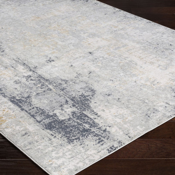Paoli - Abstract 9 X 12 Rug - Gray