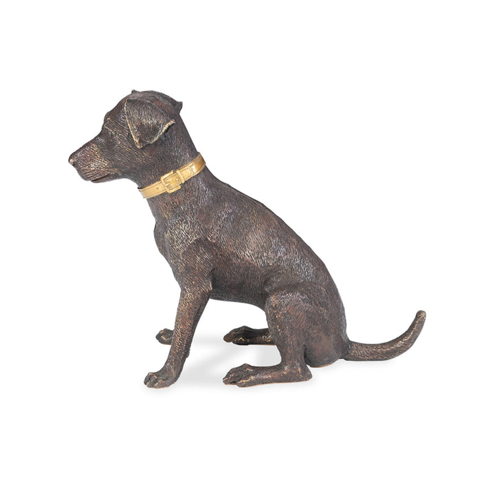 Labrador Smoking A Cigar