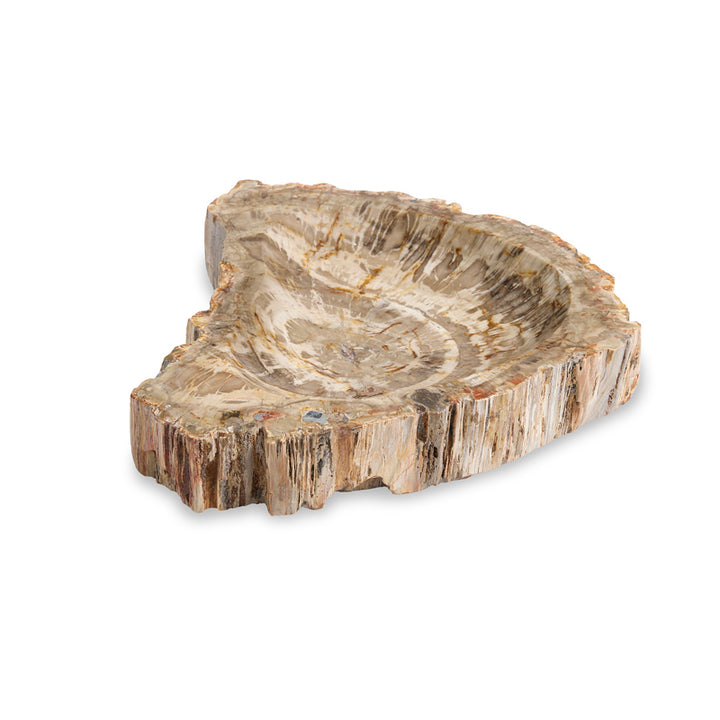 Large Brown Petrified Bowl