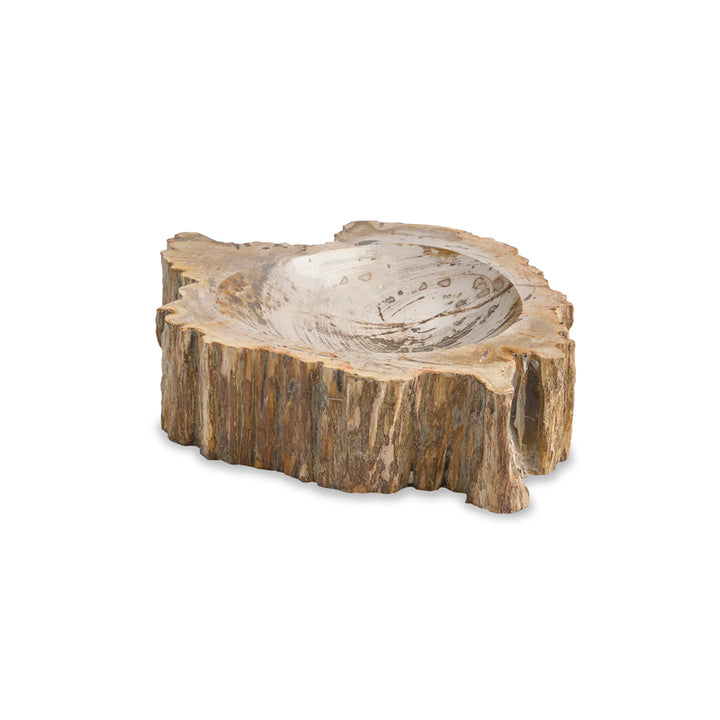 Large Brown Petrified Bowl