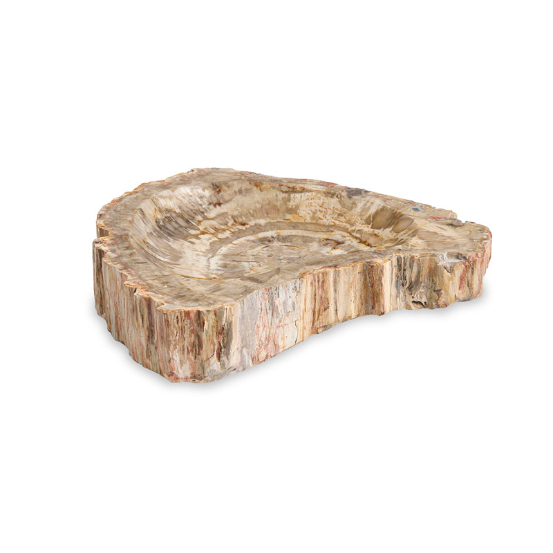 Large Brown Petrified Bowl