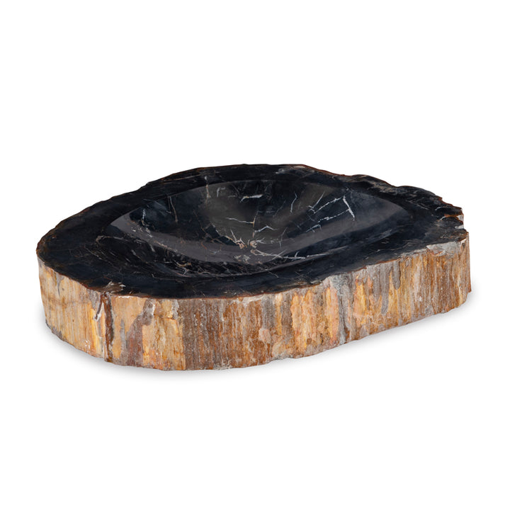 Brown Petrified Bowl