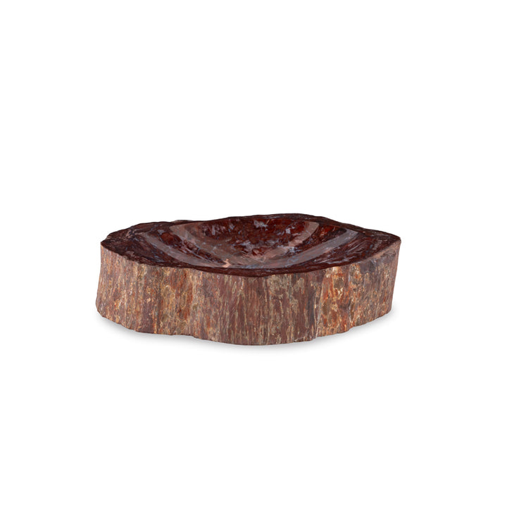 Red Petrified Bowl