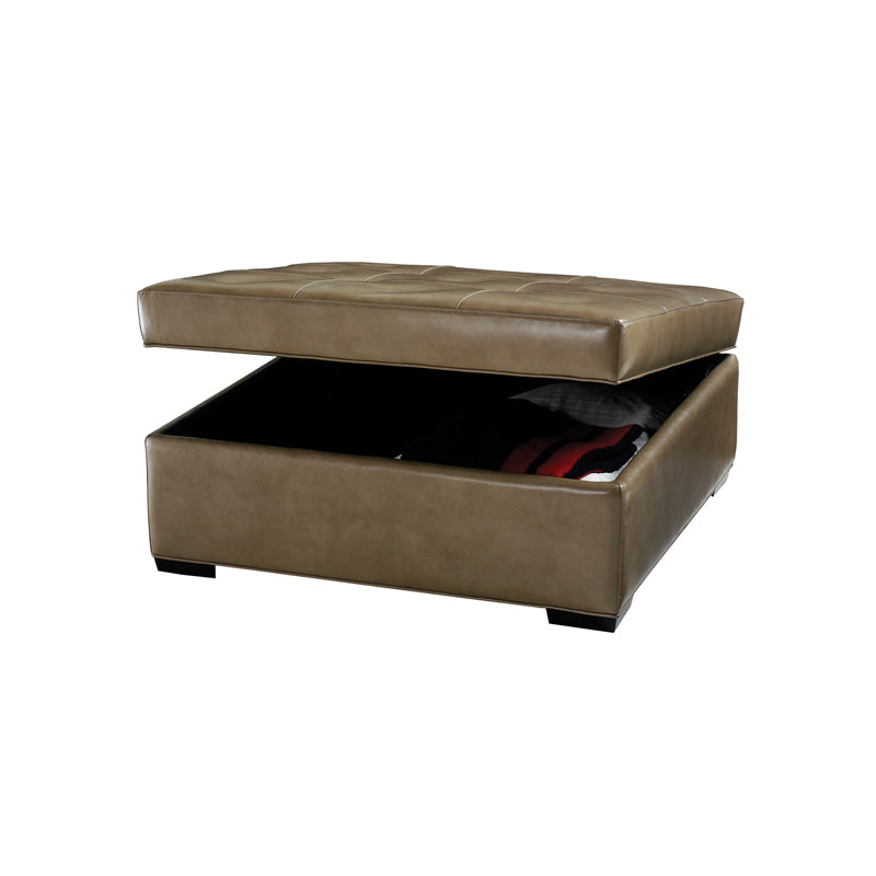 Daniel Storage Ottoman