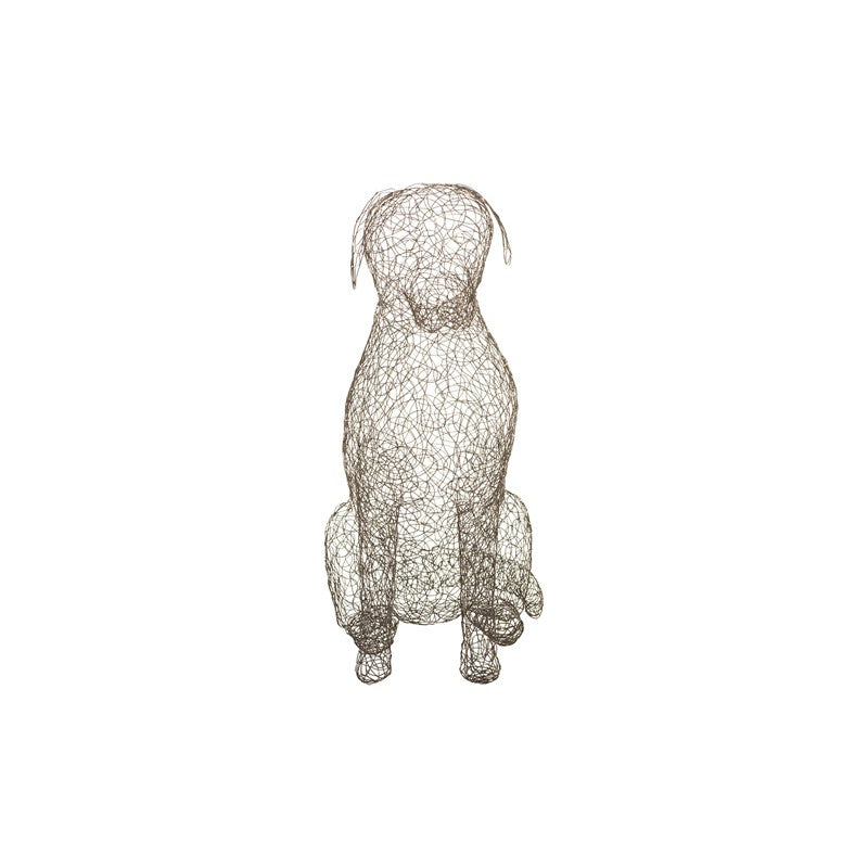 Crazy Wire Retriever