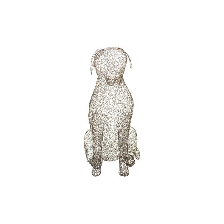 Crazy Wire Retriever