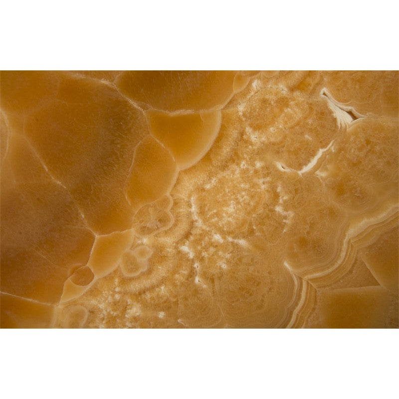 Gem Wall Tile in Brass Setting