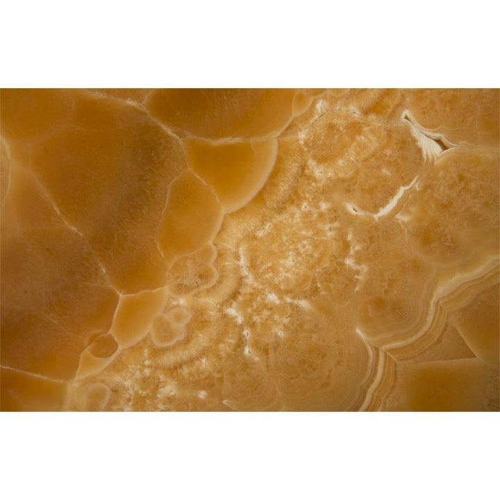 Gem Wall Tile in Brass Setting