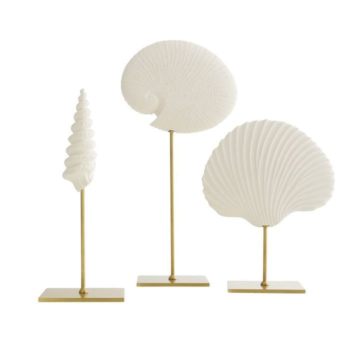 Shells Sculptures, Set of 3