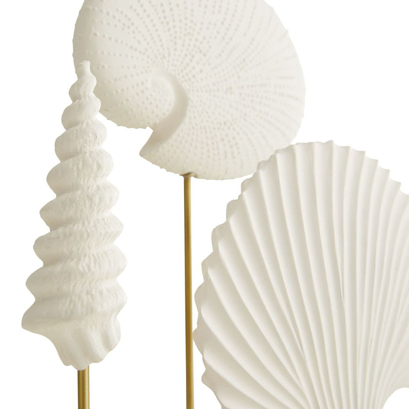 Shells Sculptures, Set of 3