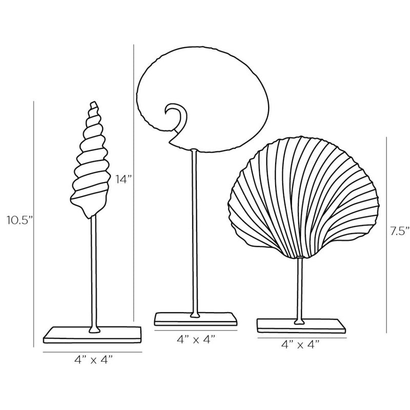 Shells Sculptures, Set of 3