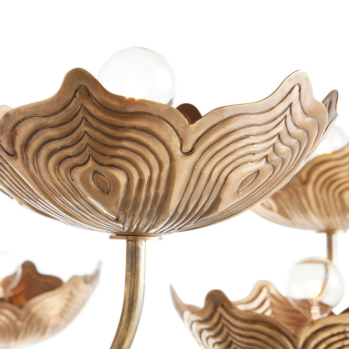 Encinitas Eight Light Chandelier