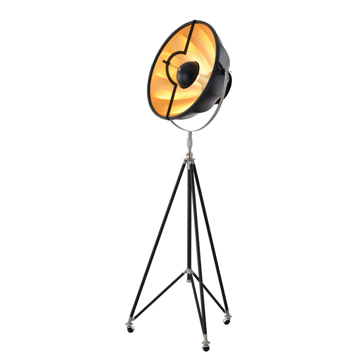 DLS74F23B One Light Floor Lamp