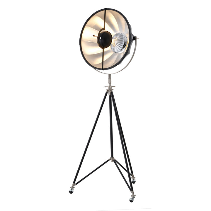DLS75F23B One Light Floor Lamp