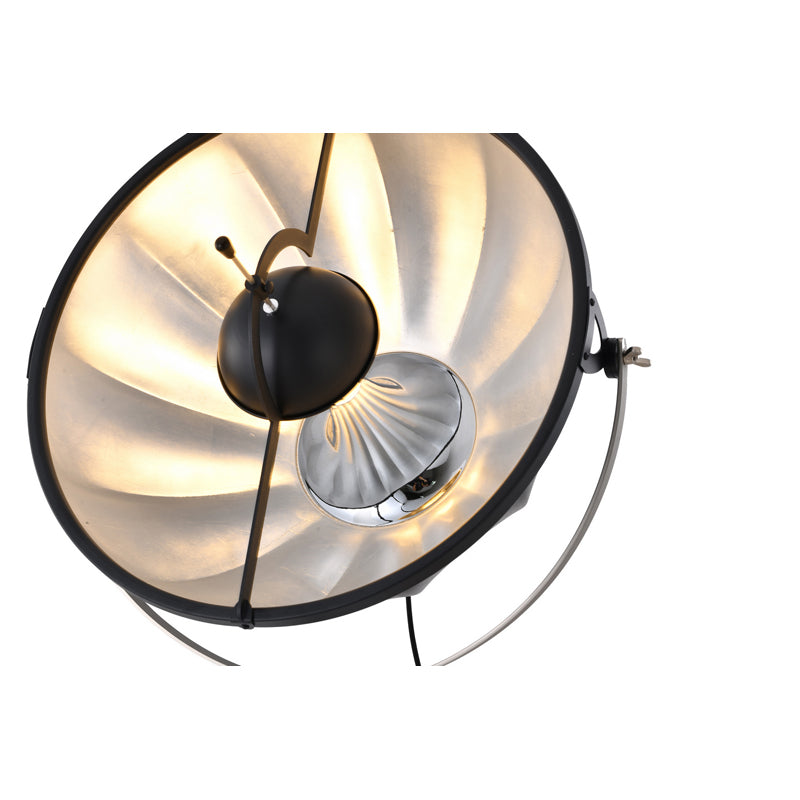 DLS75F23B One Light Floor Lamp