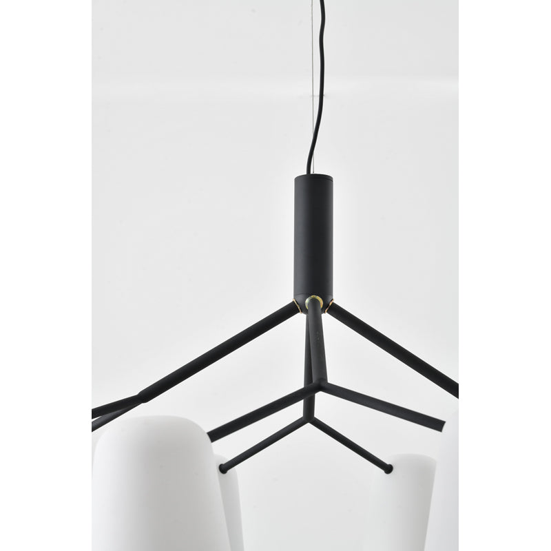 Eight Light Chandelier